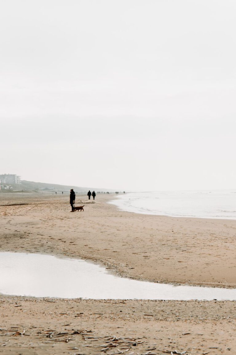 Boulevard 5 Zandvoort