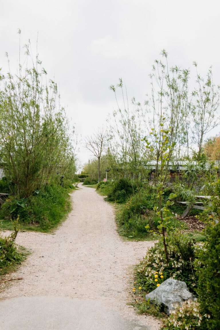 Camping Ons Buiten Zeeland