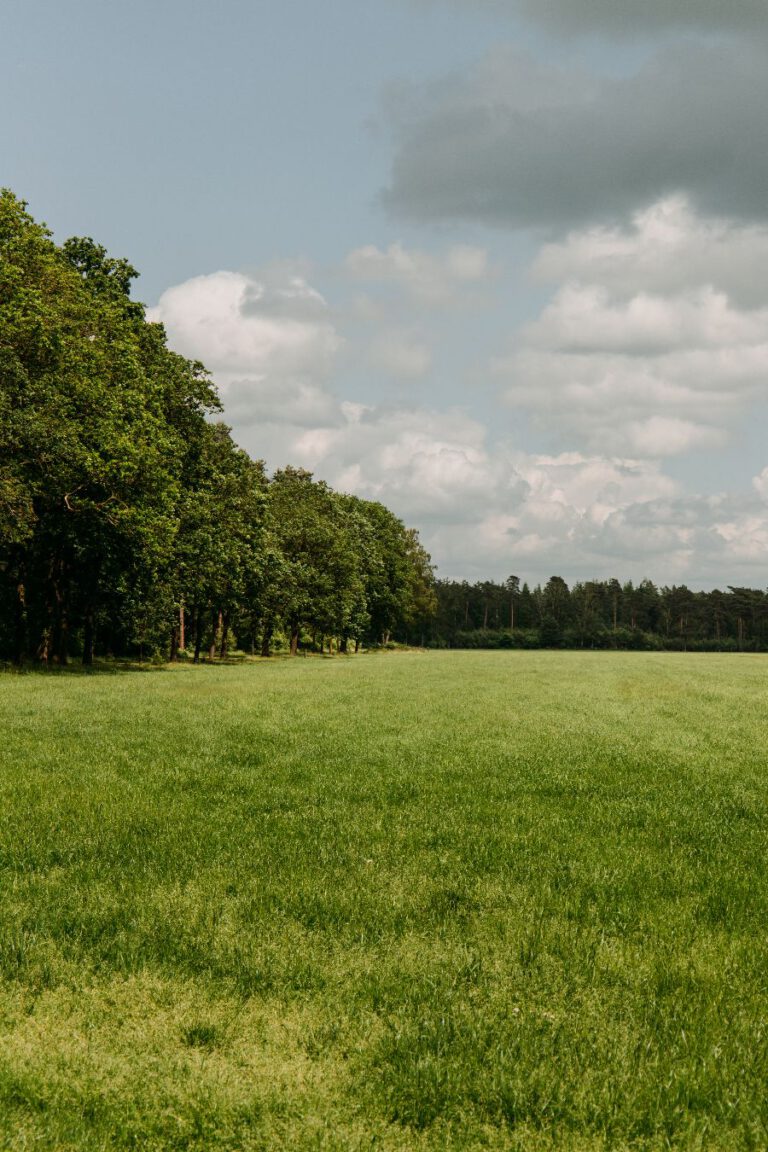 Tiny House Twente Overijssel