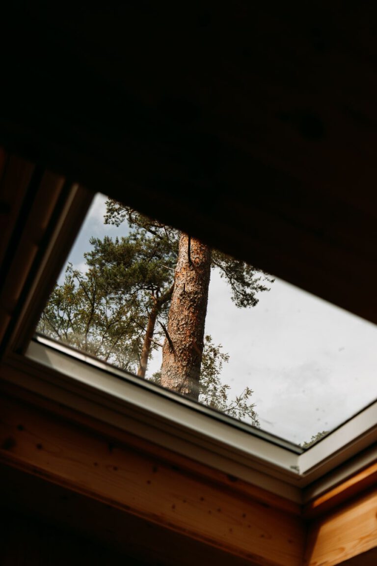 Tiny House Twente Overijssel