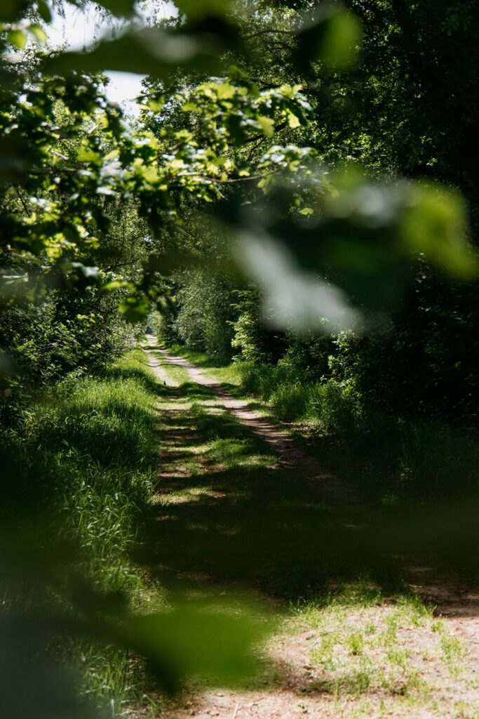 Natuur rondom Helmond