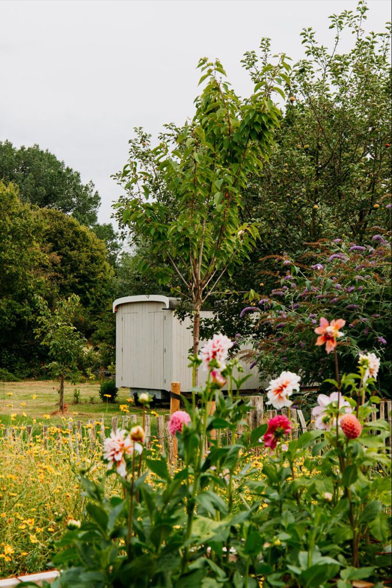 Bed&Bloemen Niebert Groningen