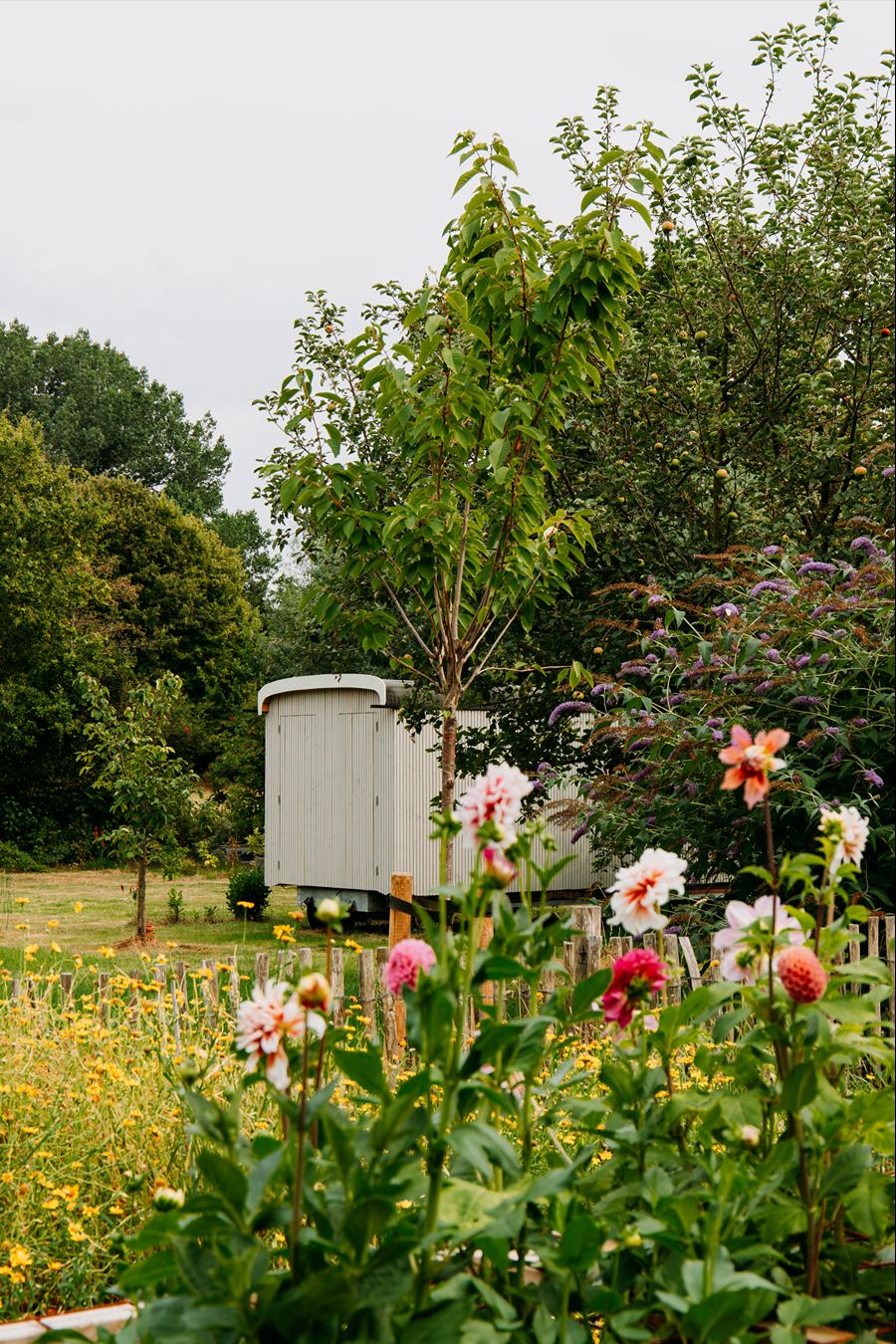 Bed&Bloemen Niebert Groningen