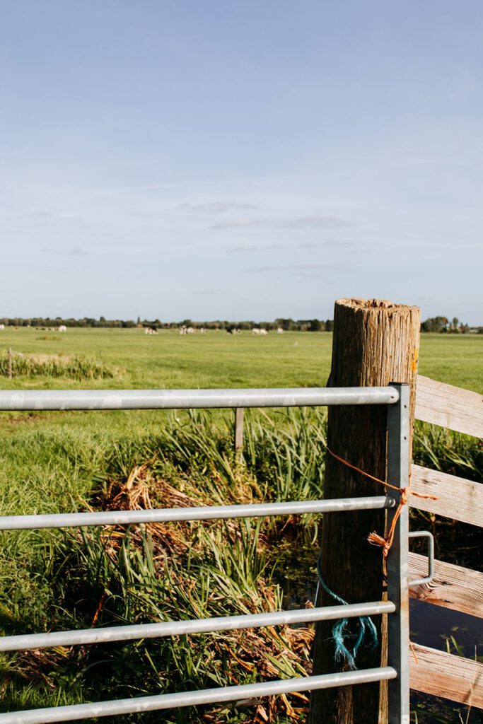 Steppi-E Schoonhoven