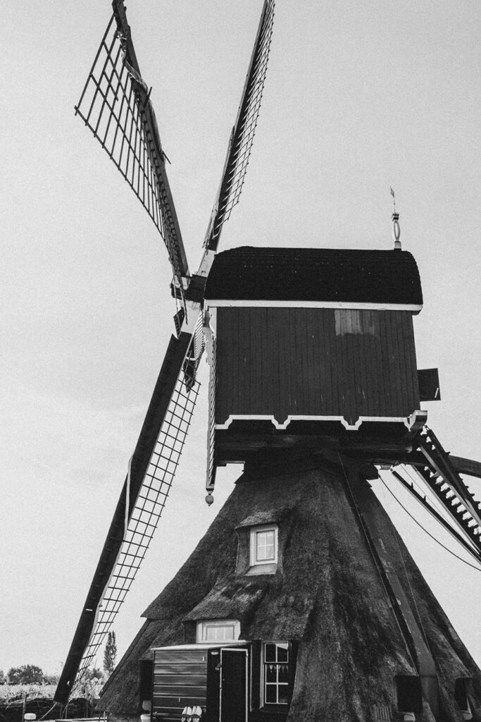 Steppi-E Schoonhoven